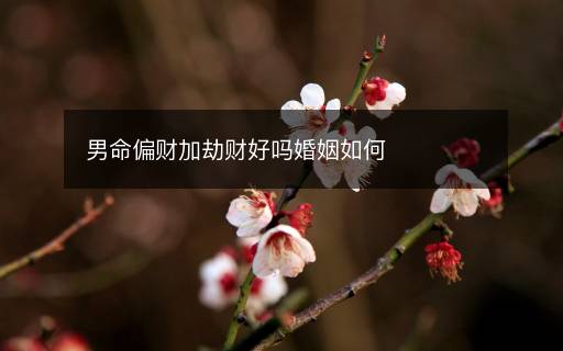 男命偏財(cái)加劫財(cái)好嗎婚姻如何