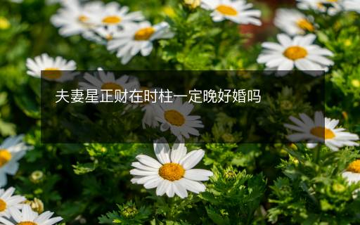 夫妻星正財在時柱一定晚好婚嗎