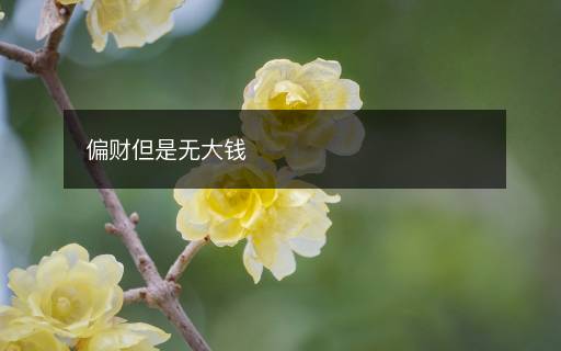 偏財?shù)菬o大錢