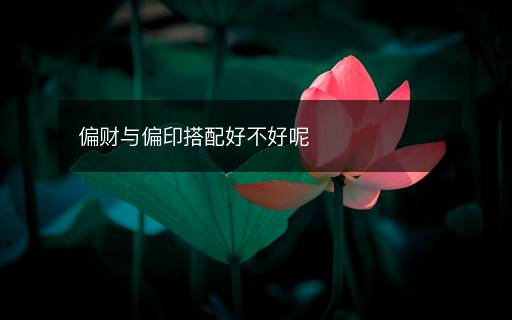 偏財(cái)與偏印搭配好不好呢