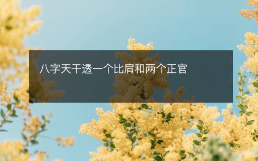 八字天干透一個(gè)比肩和兩個(gè)正官