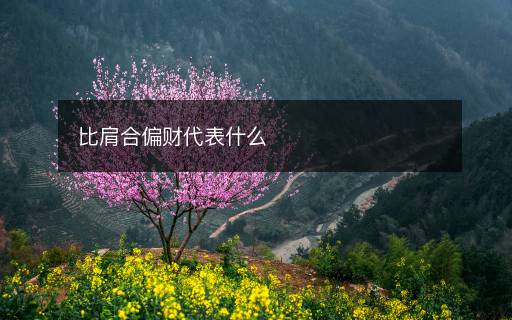 比肩合偏財代表什么