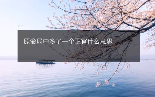 原命局中多了一個正官什么意思