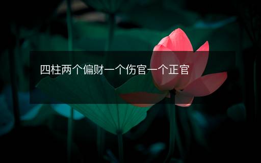 四柱兩個偏財一個傷官一個正官
