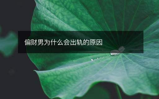 偏財男為什么會出軌的原因