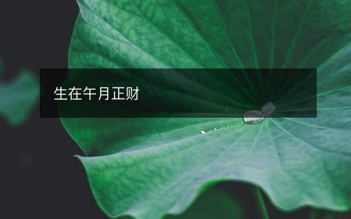 生在午月正財