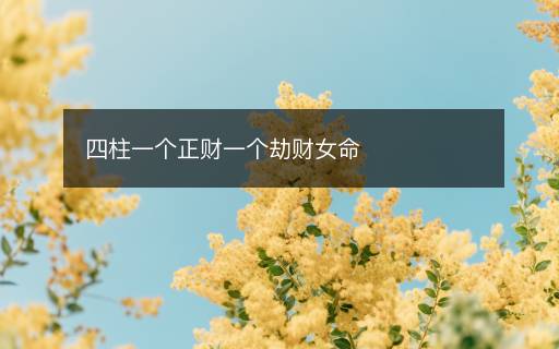 四柱一個正財一個劫財女命