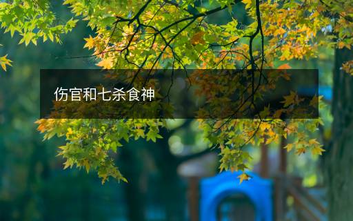 傷官和七殺食神