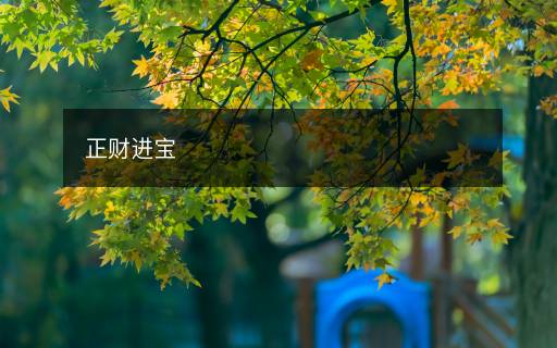 正財進寶