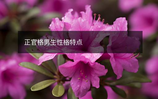 正官格男生性格特點(diǎn)