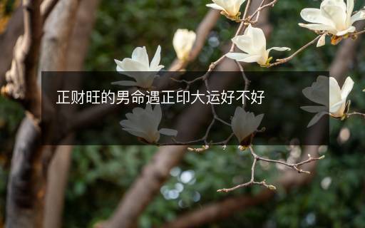 正財旺的男命遇正印大運好不好
