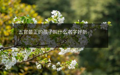 五官最正的孩子叫什么名字好聽(tīng)
