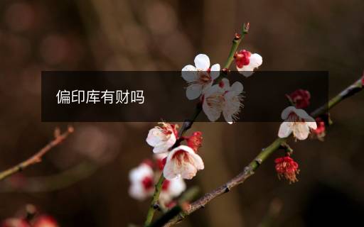 偏印庫(kù)有財(cái)嗎
