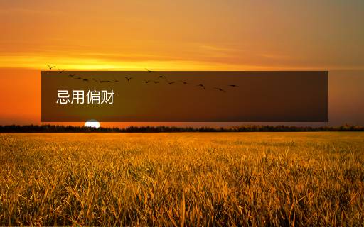 忌用偏財