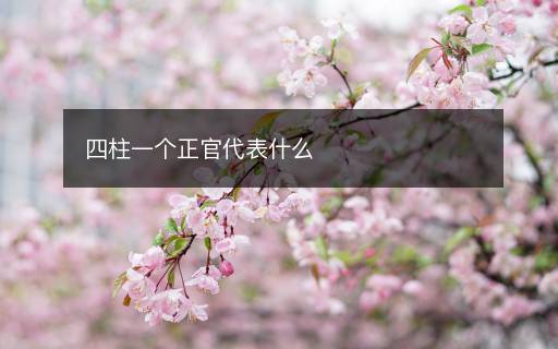 四柱一個(gè)正官代表什么