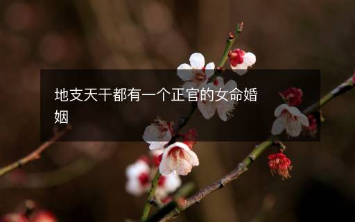 地支天干都有一個(gè)正官的女命婚姻