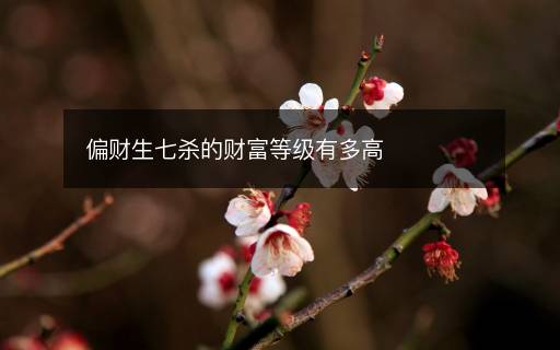 偏財(cái)生七殺的財(cái)富等級(jí)有多高