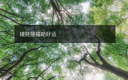 接財接福劫好運