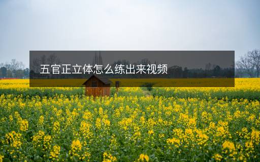 五官正立體怎么練出來(lái)視頻
