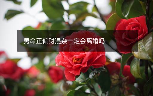 男命正偏財混雜一定會離婚嗎