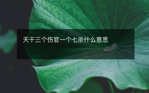 天干三個(gè)傷官一個(gè)七殺什么意思