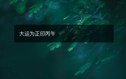 大運為正印丙午