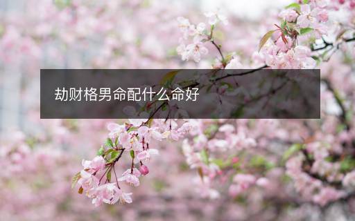 劫財(cái)格男命配什么命好
