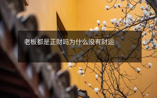 老板都是正財(cái)嗎為什么沒有財(cái)運(yùn)
