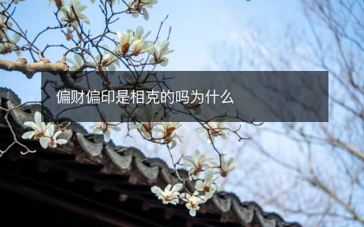 偏財(cái)偏印是相克的嗎為什么