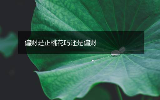 偏財是正桃花嗎還是偏財