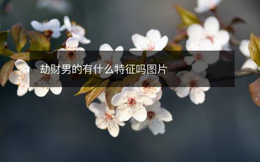 劫財男的有什么特征嗎圖片