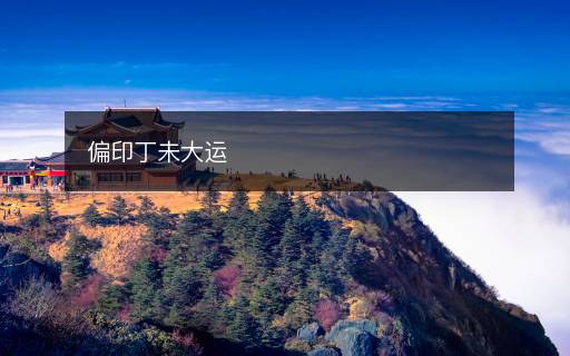 偏印丁未大運(yùn)