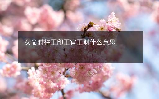 女命時柱正印正官正財什么意思