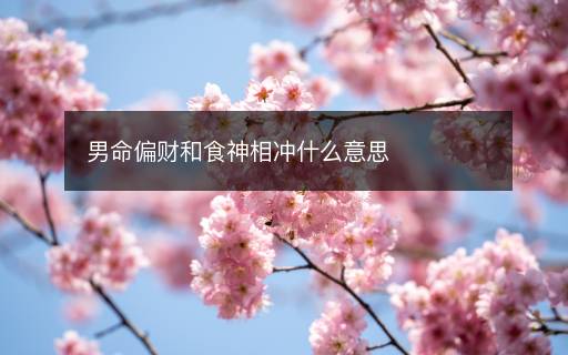 男命偏財(cái)和食神相沖什么意思