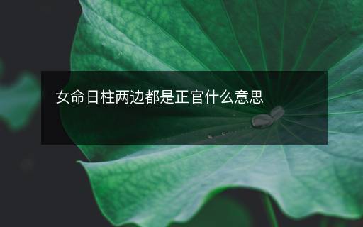 女命日柱兩邊都是正官什么意思