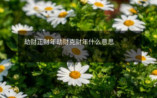 劫財(cái)正財(cái)年劫財(cái)克財(cái)年什么意思