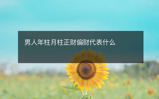 男人年柱月柱正財偏財代表什么