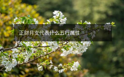 正財月支代表什么五行屬性