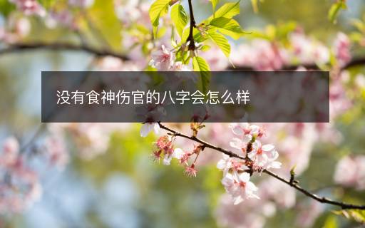 沒有食神傷官的八字會(huì)怎么樣