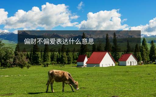 偏財(cái)不偏愛表達(dá)什么意思