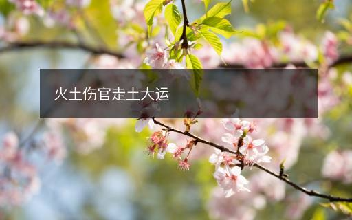 火土傷官走土大運(yùn)
