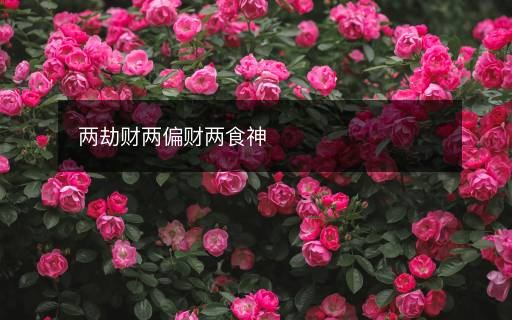兩劫財(cái)兩偏財(cái)兩食神