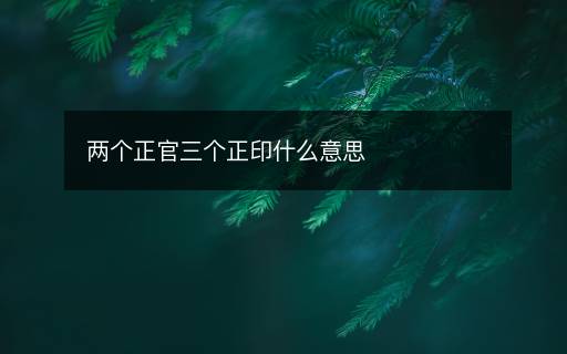 兩個(gè)正官三個(gè)正印什么意思