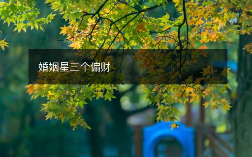 婚姻星三個偏財
