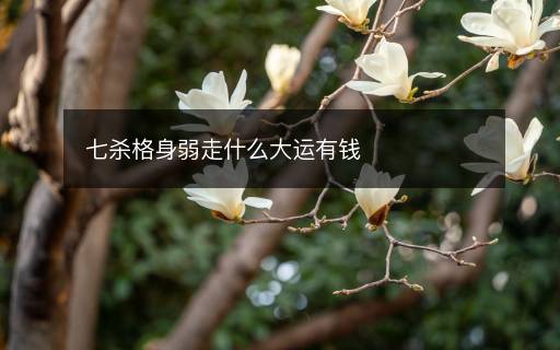 七殺格身弱走什么大運(yùn)有錢