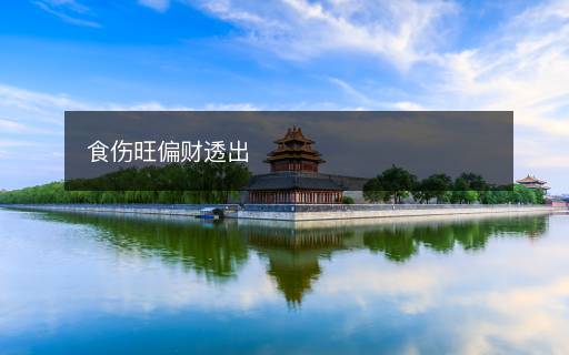 食傷旺偏財(cái)透出