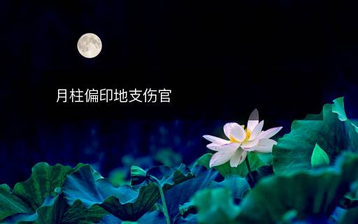 月柱偏印地支傷官
