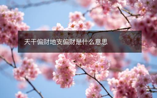 天干偏財(cái)?shù)刂?cái)是什么意思