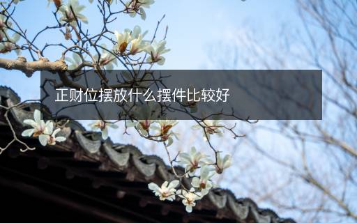 正財(cái)位擺放什么擺件比較好