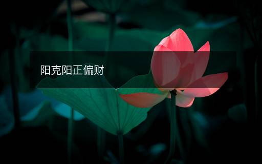 陽克陽正偏財